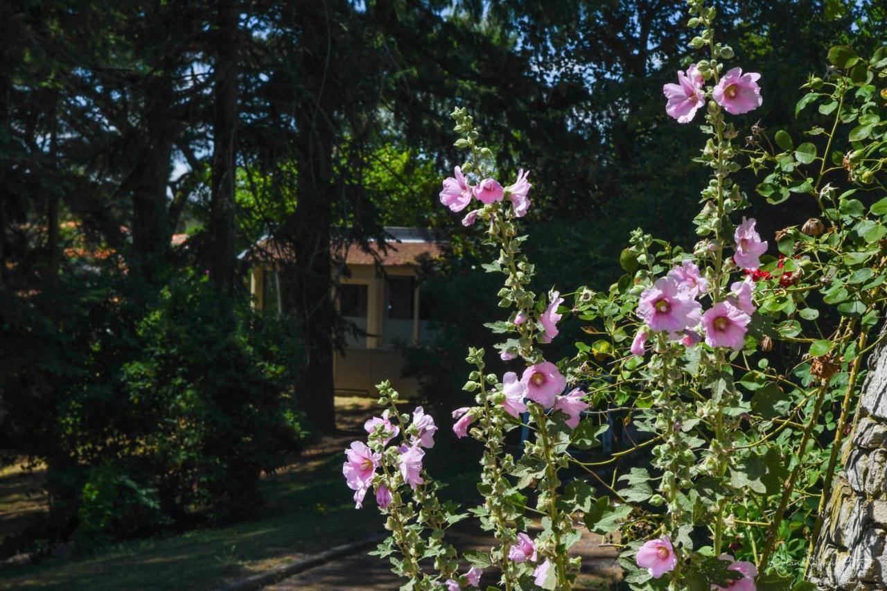 Logis Hotel La Chaumiere Saint-Laurent-sur-Sevre Exterior photo